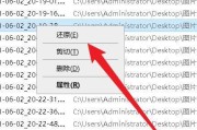 如何恢复被直接删除的大文件（利用专业工具和备份文件进行文件恢复）