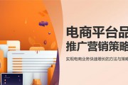 广告公司品牌营销推广的重要性（如何通过品牌营销推广提升企业竞争力）