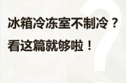 容声冰箱不制冷问题解决方法（冰箱冷藏室不制冷温度调节技巧）