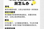 松下冰箱冷藏室有水的原因及维修方法（解决冰箱冷藏室出现水的问题）