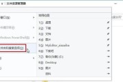 如何使用Win10给文件夹加密码（保护您的私密文件）