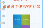 突破加密Wi-Fi的软件探秘（揭秘专业级Wi-Fi破解工具）