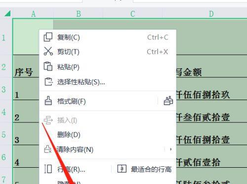 Excel密码保护（学会使用Excel密码保护功能）