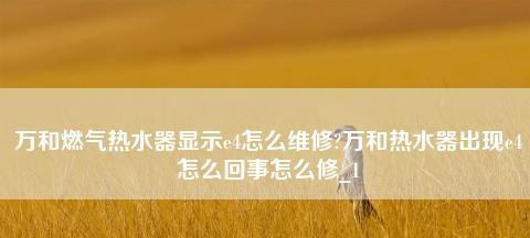 万和热水器E4故障维修方法（解决万和热水器E4故障的有效方法）