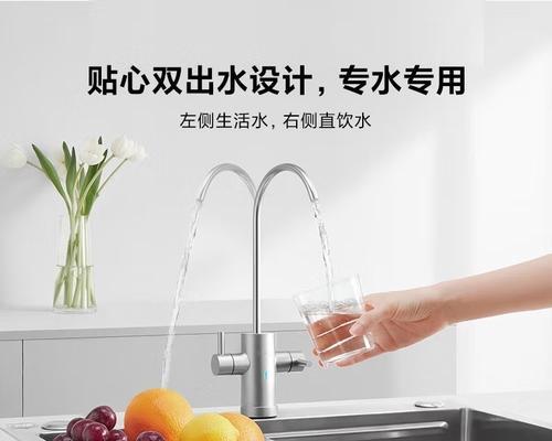 净水器滤管漏水怎么办（解决滤管漏水问题的有效方法）