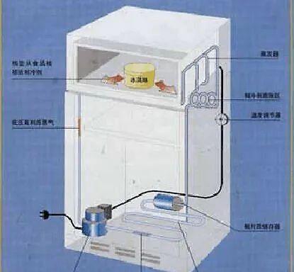 冰箱出现漏电现象怎么办？如何快速安全地解决？