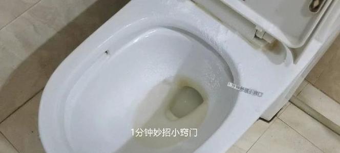 马桶污渍难以忍受怎么办？试试这些清除小妙招吧！